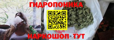 молекула духа Бердск